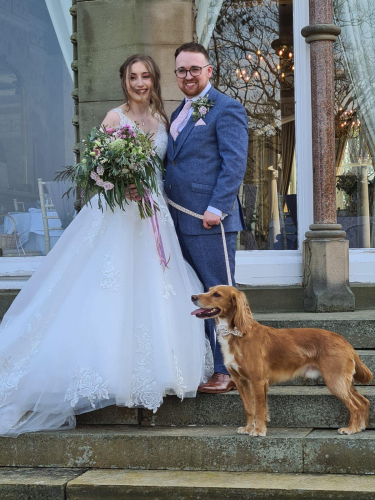 Wedding Dogs Chaperone Service